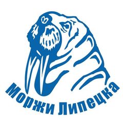 Липецкие моржи avatar