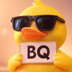 BQ비큐 🐥 avatar
