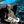 Blofeld’s Undersea Lair (You Only Live Twice) avatar