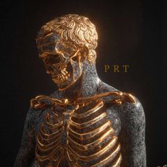 Partisan | Beherrschen avatar