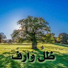 ꧁🌳/ ظِلٌّ وَارِفٌ/ للنساء🌳꧂ avatar