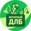ЯНТАРНЫЙ ДЛБ (Калининград) Avatar
