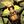 loki confession avatar