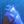 briller. avatar