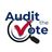 Audit the vote Chat