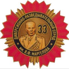 ДФ МО РФ БАРС-33 имени В.Ф. Маргелова avatar