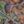 Birds.Birds.Birds. avatar