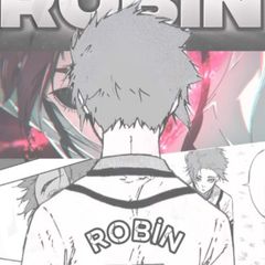 ROBİN🇹🇷 avatar