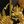 Brotherhood of Academists avatar