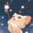 stars in jungwon's eyes