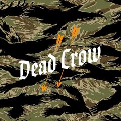 Dead Crow avatar