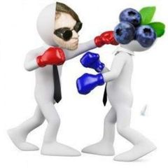 your gentle madness confession avatar