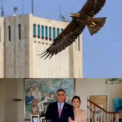 اندیشه پهلویسم avatar
