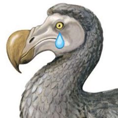 Экологиня avatar