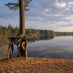 Вырица. События, факты, история avatar