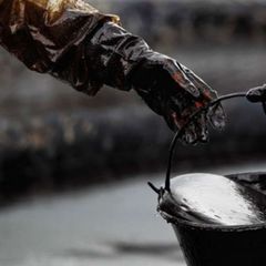 На нефтяной игле avatar