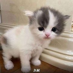 Складские помещения с мемами avatar