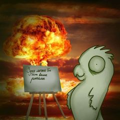Попугай в зак(г)оне avatar
