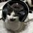 dᴀily hiᴏrin⋆˚｡⋆ chat