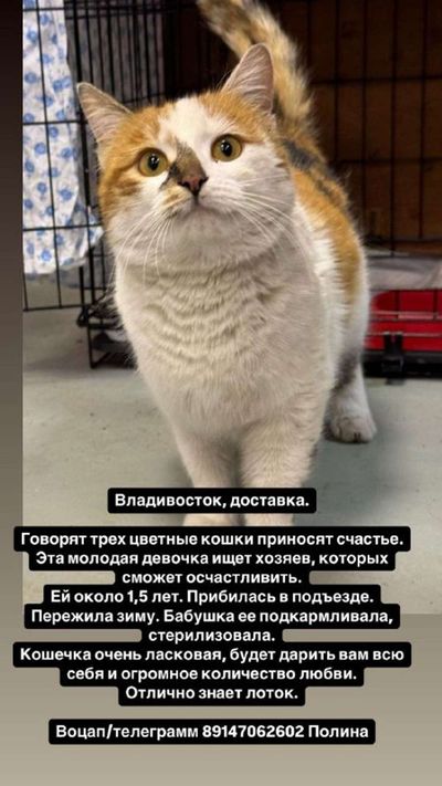 Post media