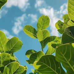 نهال🌱 avatar