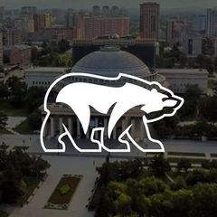 Новосибирская вЕРсия avatar