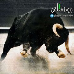 پرویز خالقی avatar