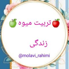 تربیت میوه زندگی avatar