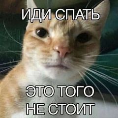sssитпост avatar