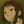 So far, so good avatar