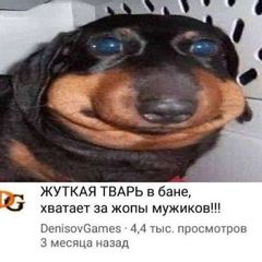 редиска🥬 avatar