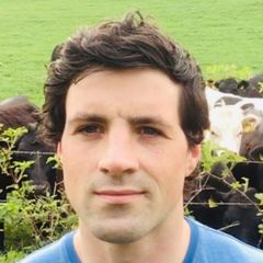 Niall McConnell🇮🇪 avatar