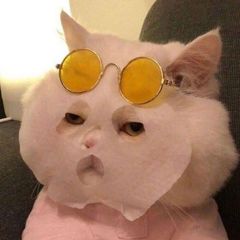Д!мон avatar