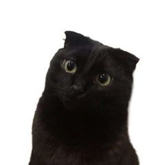 Движимая повестка avatar