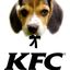 sabaka kfc Avatar