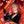 NICKA_FOXI avatar