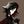 тзв pipkin avatar