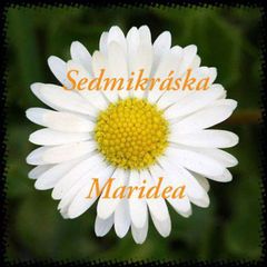 Sedmikráska - Maridea avatar