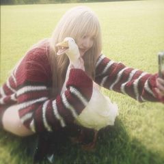 Files avatar