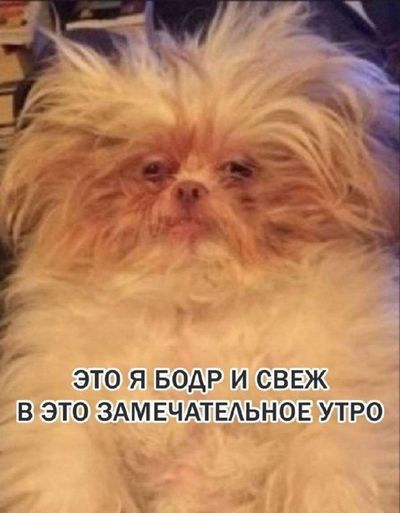 Post media
