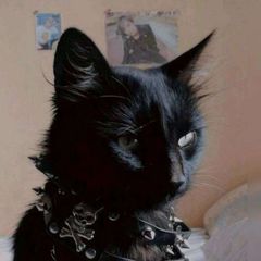 ЗАУРАЛЬСКАЯ ЭМО4КА avatar