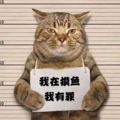 素材套图中心 avatar