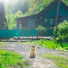 Увертюра к сумасбродству avatar