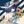 Group art confession avatar