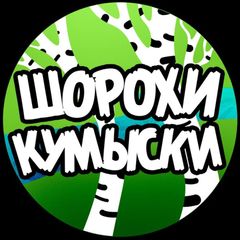 Шорохи Кумыски avatar