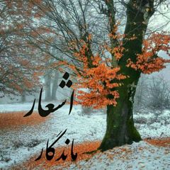 اشعار ماندگار avatar