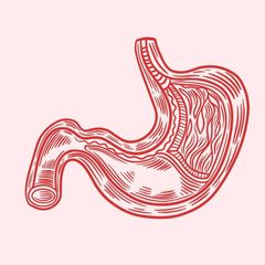 Gastrosphera | Гастроэнтерология для специалистов | Новости, эфиры, клинические случаи avatar