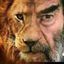 زينو ياسر محاميد Avatar