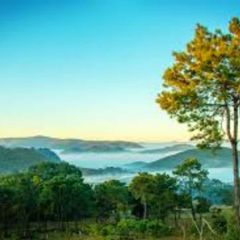 ရှမ်းပြည်နယ်သတင်းစုံ avatar