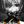 Flmschsr. avatar